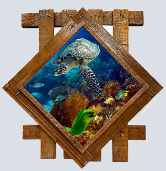 "Hawksbill and Eel"