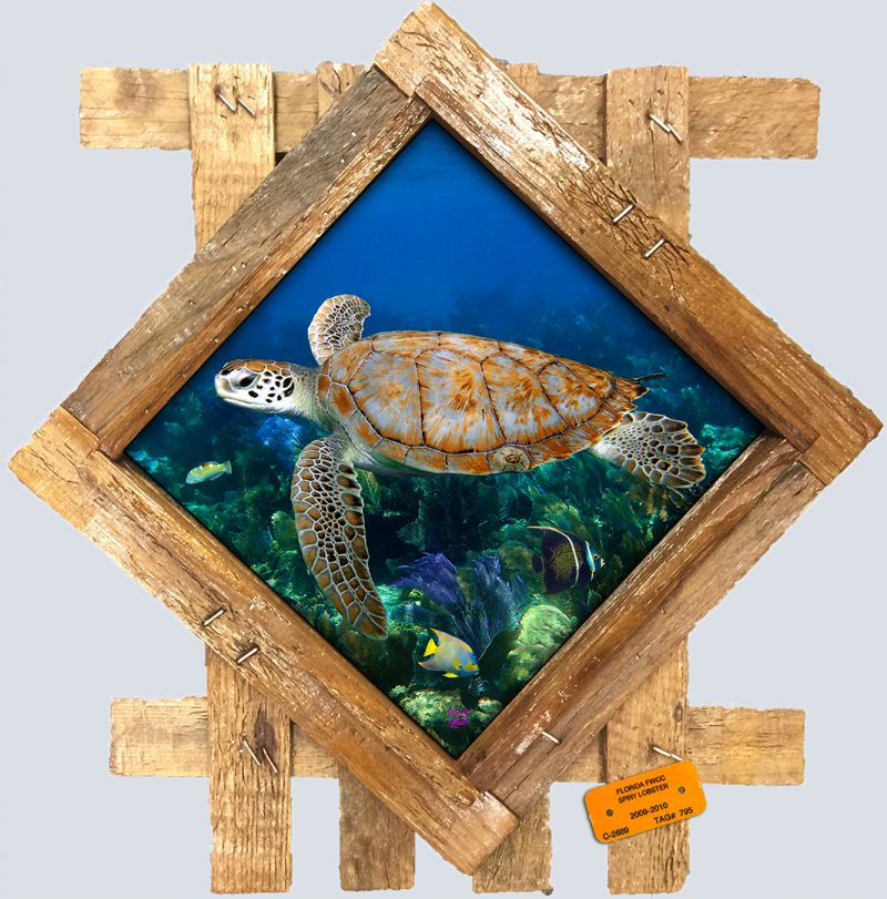 "At Home on the Reef"