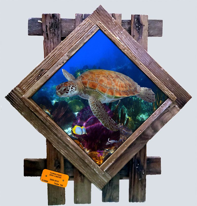 "Bermuda Reef"