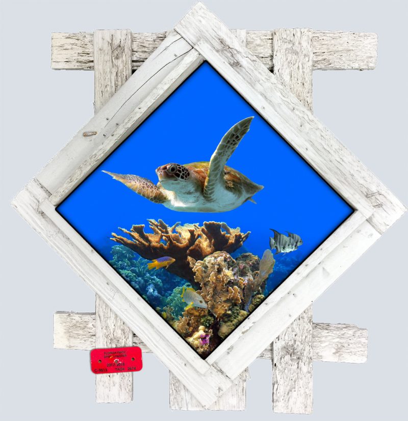 "Coral Head Fly By"