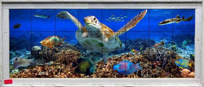 Coral reef with turtle and tropical fish in wood frame
