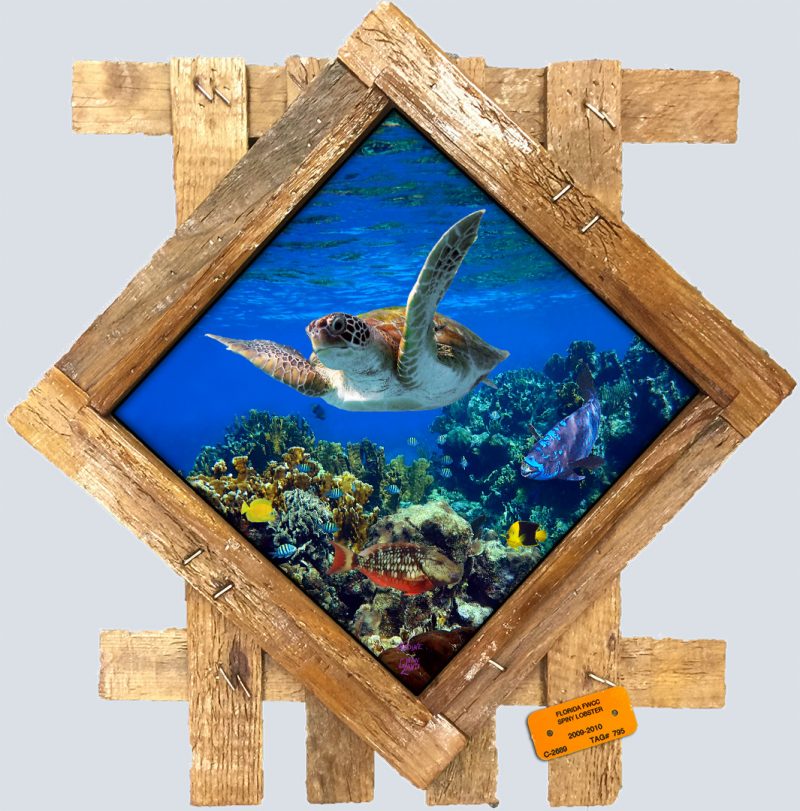 "Cruising the Reef"