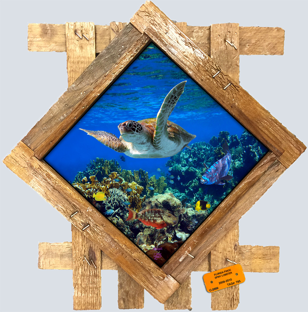 "Cruising the Reef"