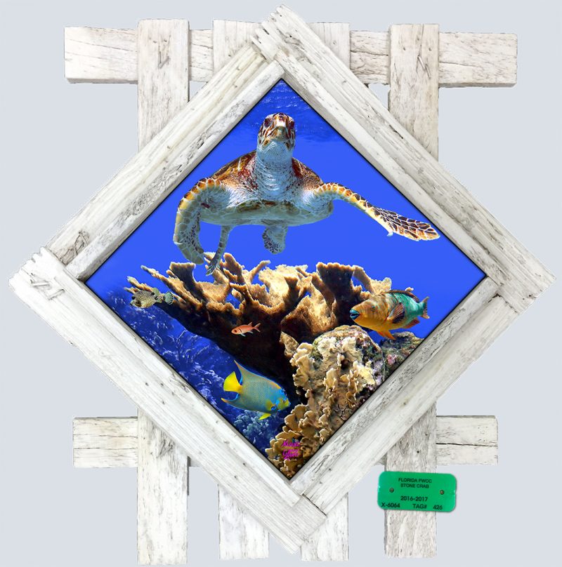 "Deep Blue Reef" in a Lobster Trap Lid Frame