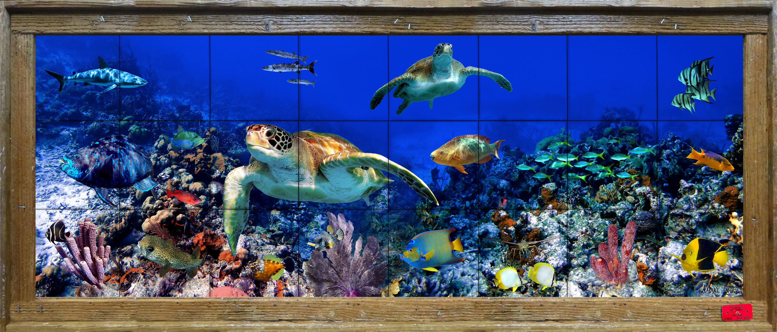 colorful reef tile mural with two turtles and many tropical fish