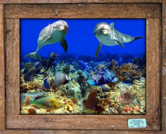 "Dolphin Duo"
