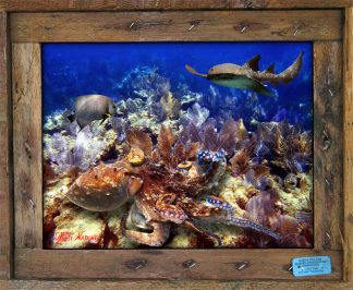"Grassy Key Reef"