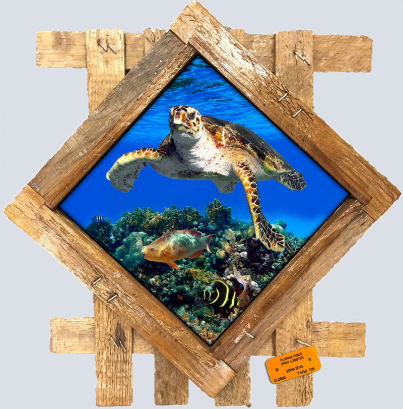 "Hawksbill Turtle and Tropicals"