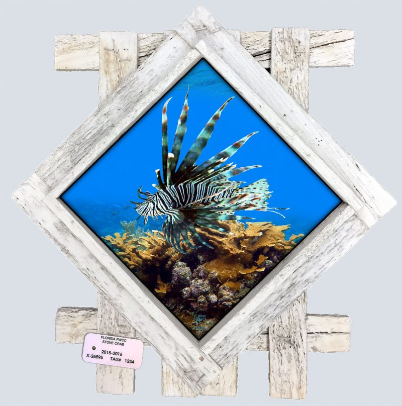 "Lionfish on a Coral Head"