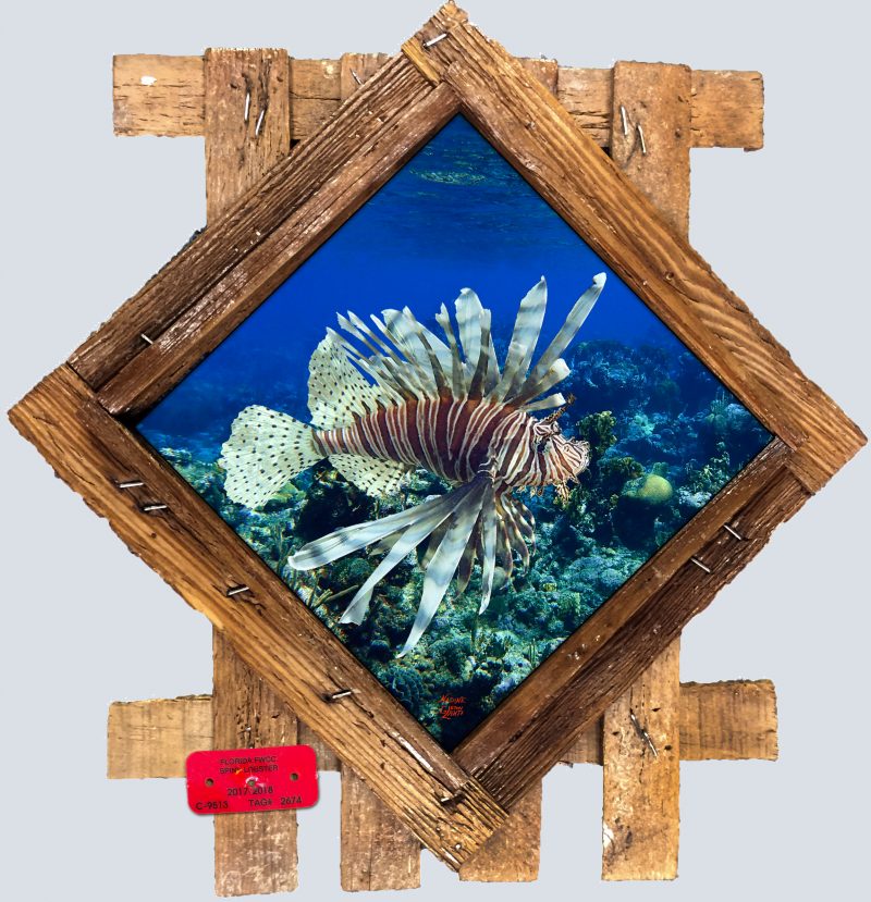 "Lionfish on the Ledge"