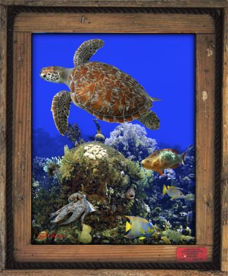 "Long Key Reef"