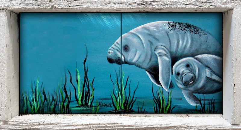 "Momma Manatee"