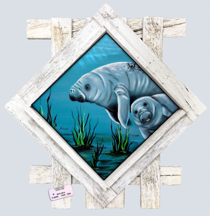 "Momma Manatee"