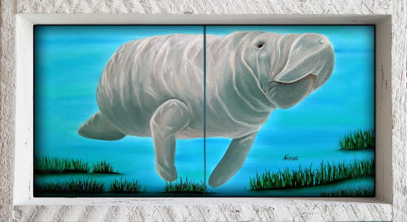 "Mr. Manatee"