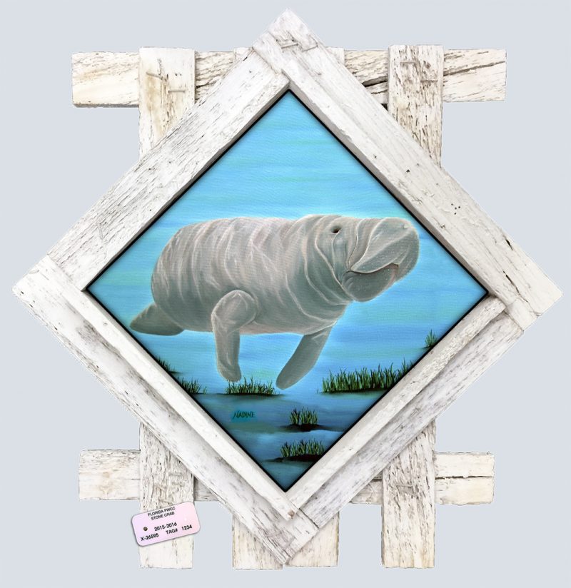 "Mr. Manatee"