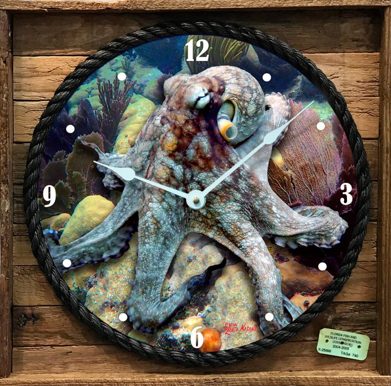 "Octopus on the Reef" Framed Clock