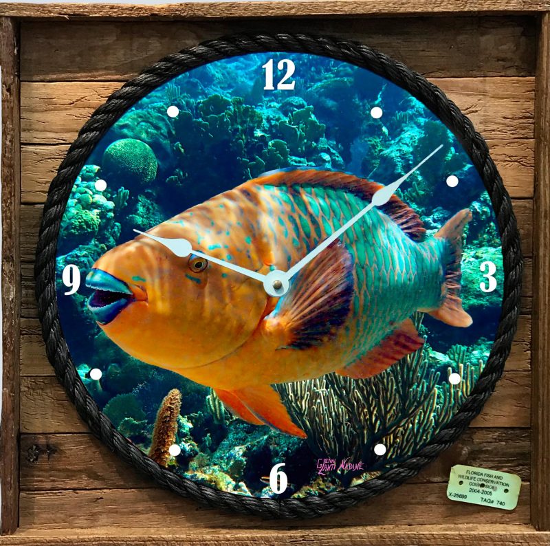 "Rainbow Parrotfish" Framed Clock