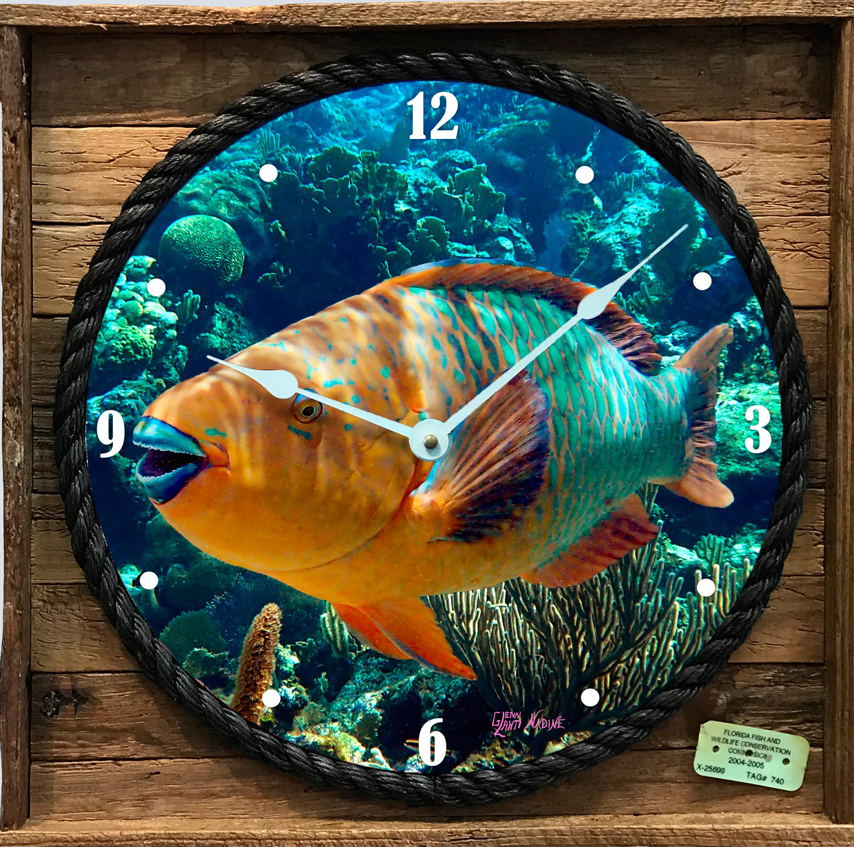 "Rainbow Parrotfish" Framed Clock