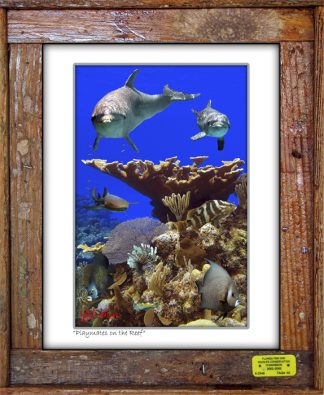 "Playmates on the Reef"