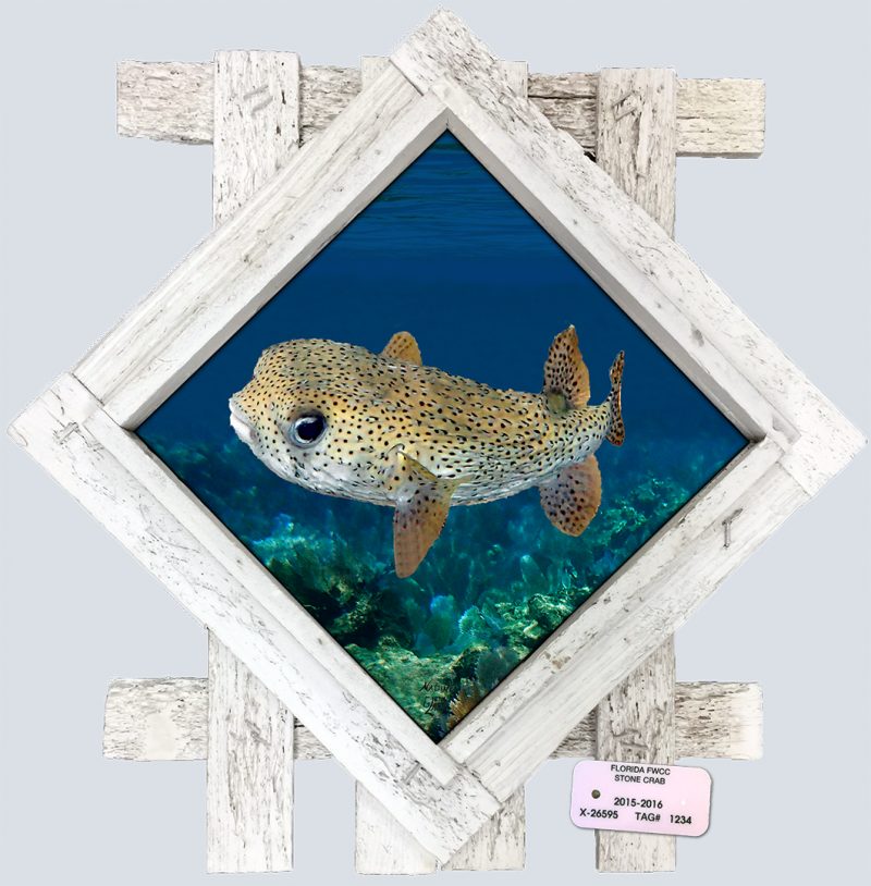 "Pufferfish in the Deep"