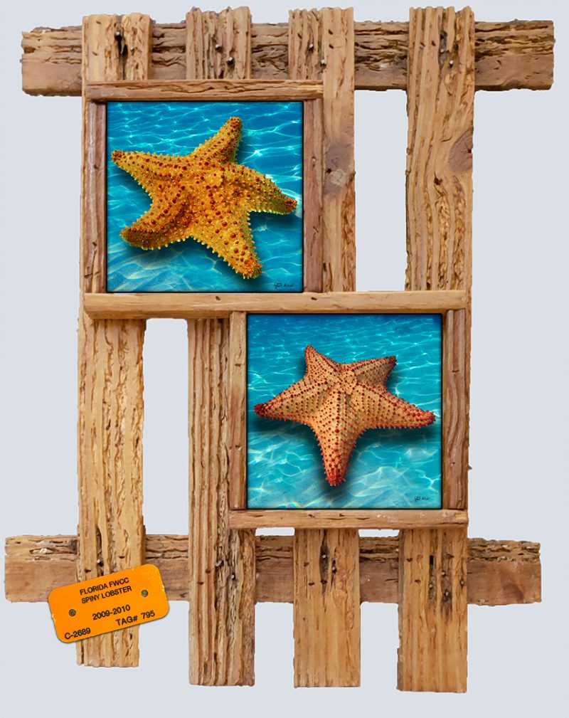 "Starfish in the Sea"