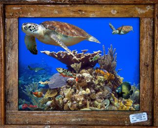 "Two Turtles Over a Reef"