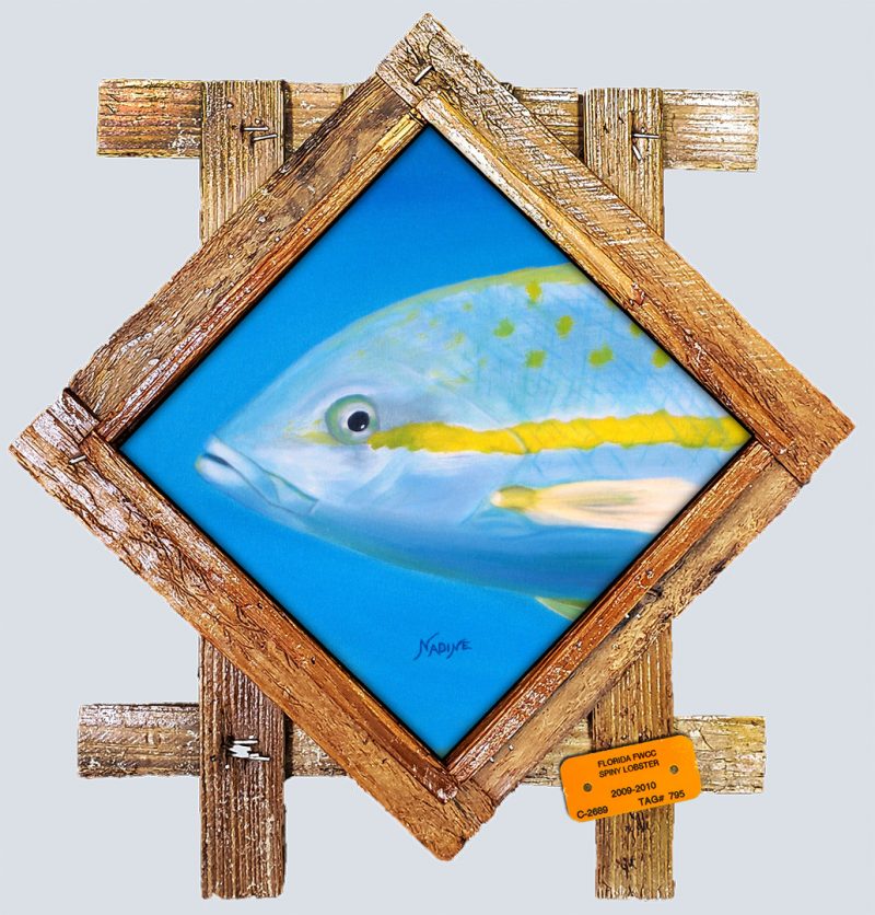 "Yellowtail Snapper"