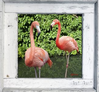 "Two Flamingos"