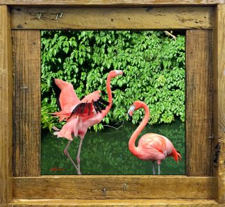"Two Flamingos in the Pond"