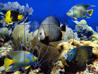 "A Heavenly Reef"