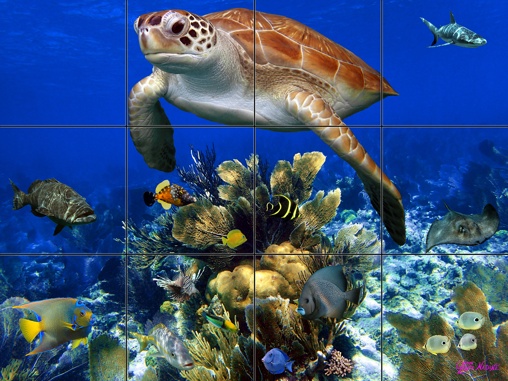 "Coral Head Reef"