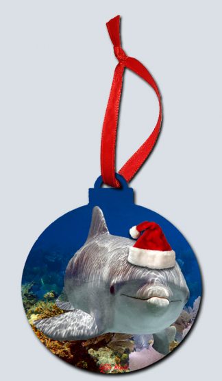 "Dolphin Up Close"