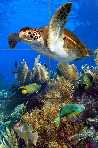 "Deep on the Reef"