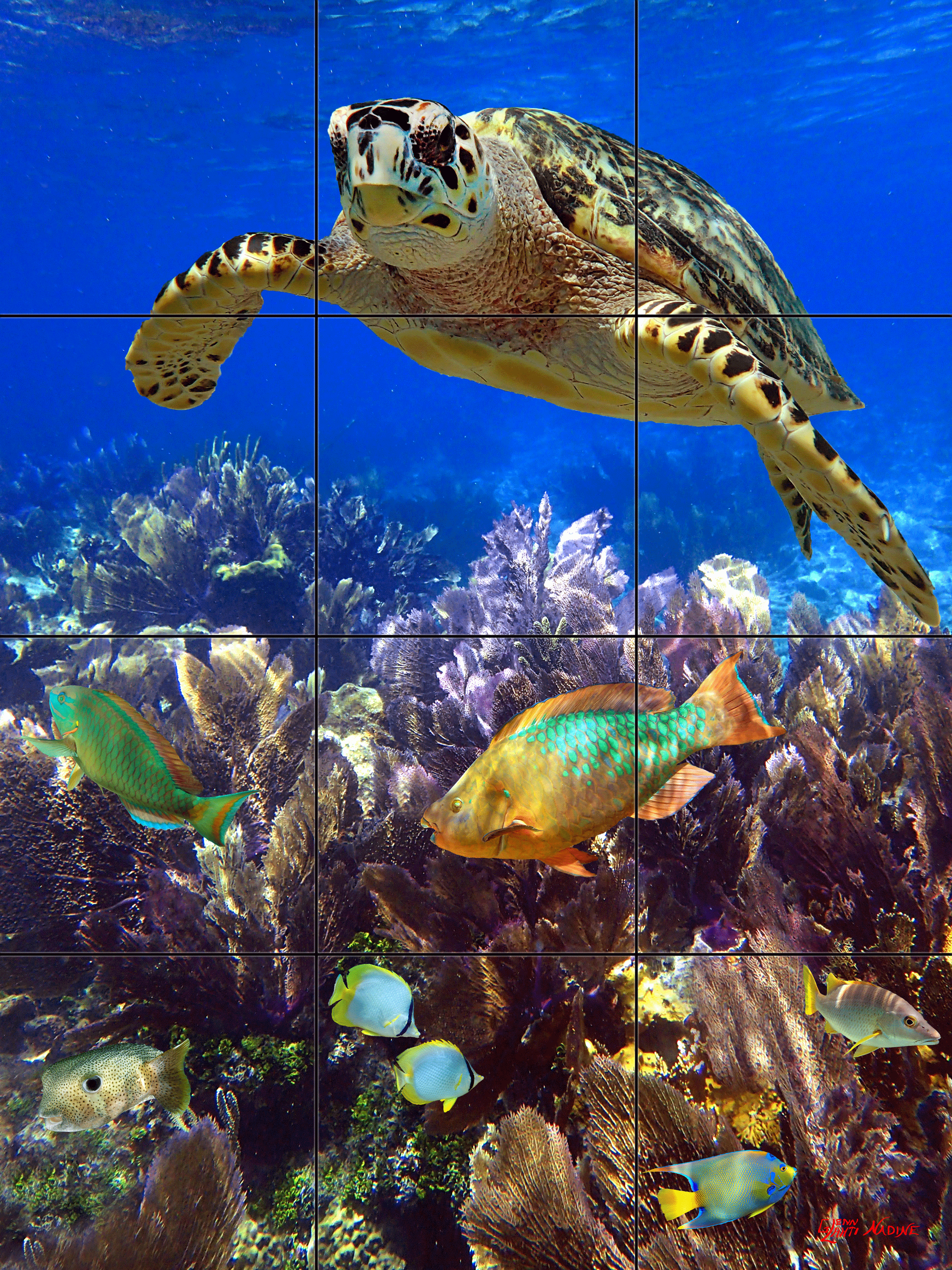 "Deep on the Reef"