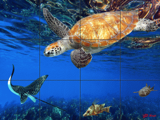 "Diving into the Depths"