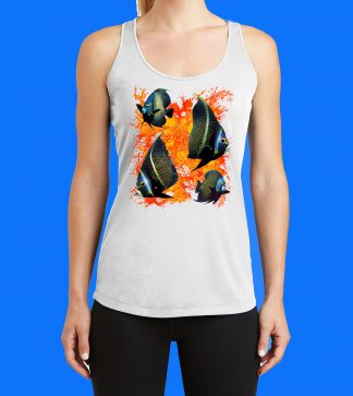 French Angelfish x4 with Splash Tank Top