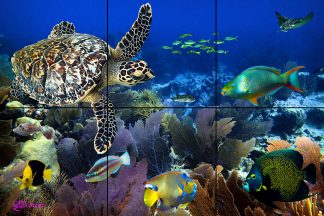 "Fandango Reef"