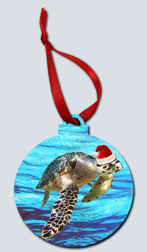 "Hawksbill with Ocean"