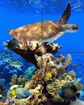 "Just Under the Surface"