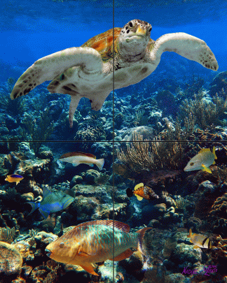 "Managerie Reef"