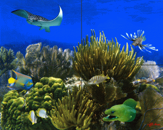 "Morays Garden"