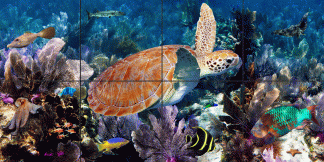 "Patch Reef"