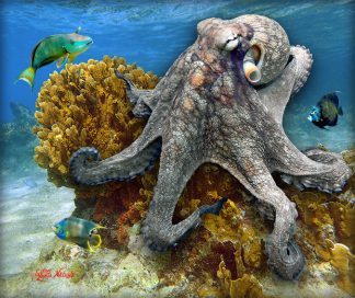 "Release The Kraken"