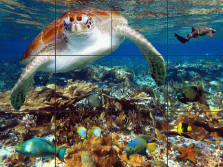 "West End Reef"