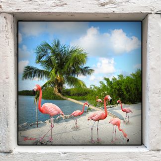 "A Flock of Flamingos"