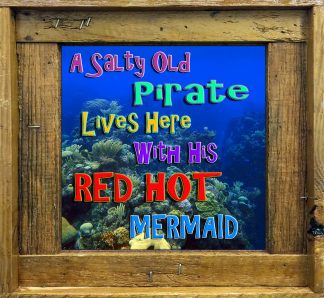 "A Salty Old Pirate"