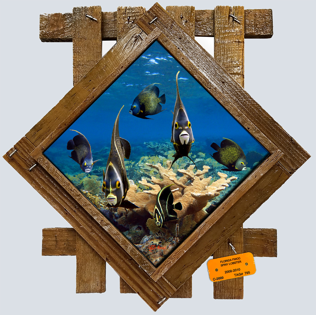 "Angelfish Reef"