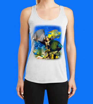 Angelfish Reef Tank Top