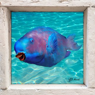 "Blue Coral Cruncher"