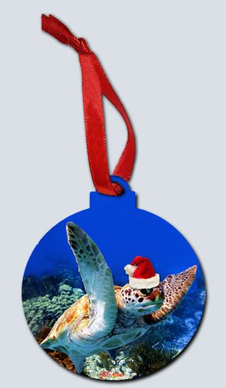 "Cruising Santa"